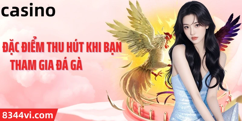 Hình ảnh quảng cáo của sun17 hiển thị nền tảng và các lợi ích